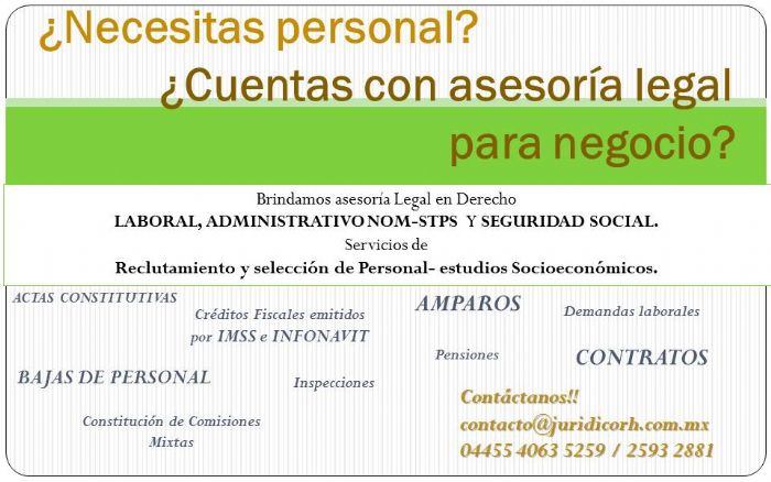 HEAD HUNTING Y SOCIOECONOMICOS